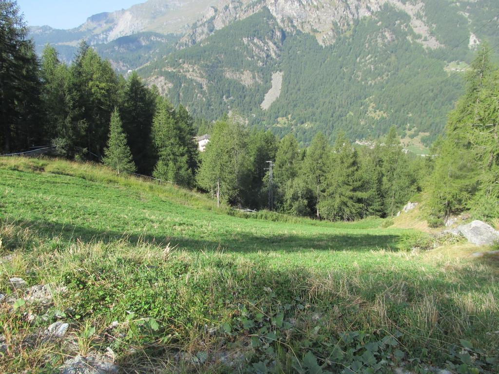 Cervino Valley House Rododendro Breuil-Cervinia Δωμάτιο φωτογραφία